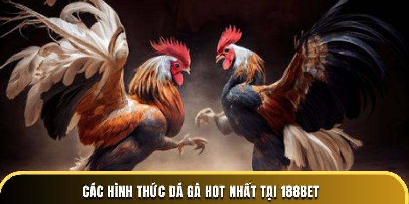 Các hình thức đá gà hot nhất tại 188BET