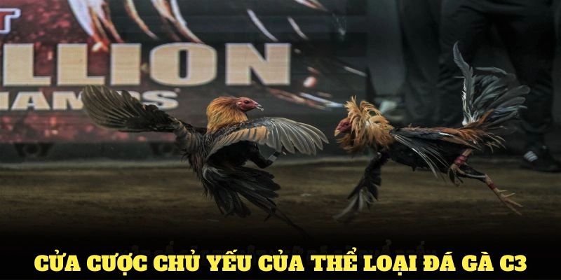Các cửa cược chủ yếu của thể loại đá gà C3 hiện nay