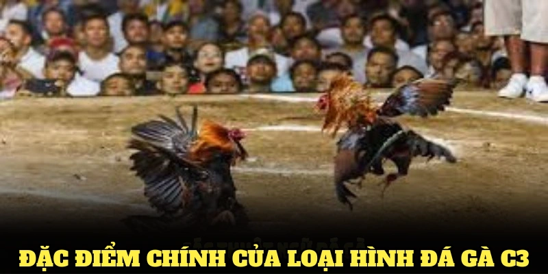 Những đặc điểm chính của loại hình đá gà C3