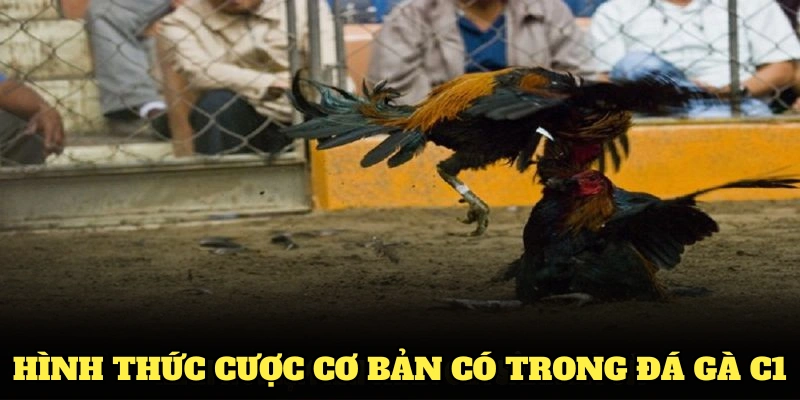 Các hình thức cược cơ bản có trong đá gà C1