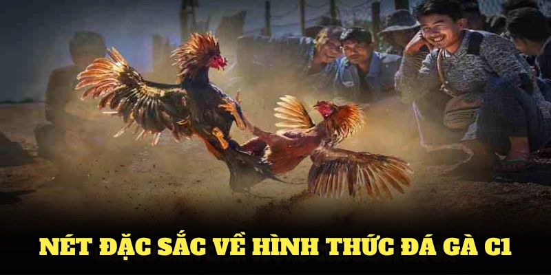 Những nét đặc sắc về hình thức đá gà C1 mà bạn nên biết