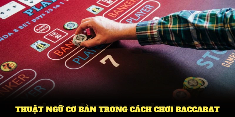 Một số thuật ngữ cơ bản trong cách chơi Baccarat bạn cần nắm