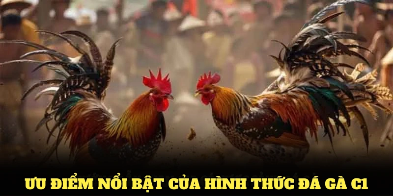 Khám phá các ưu điểm nổi bật của hình thức đá gà C1