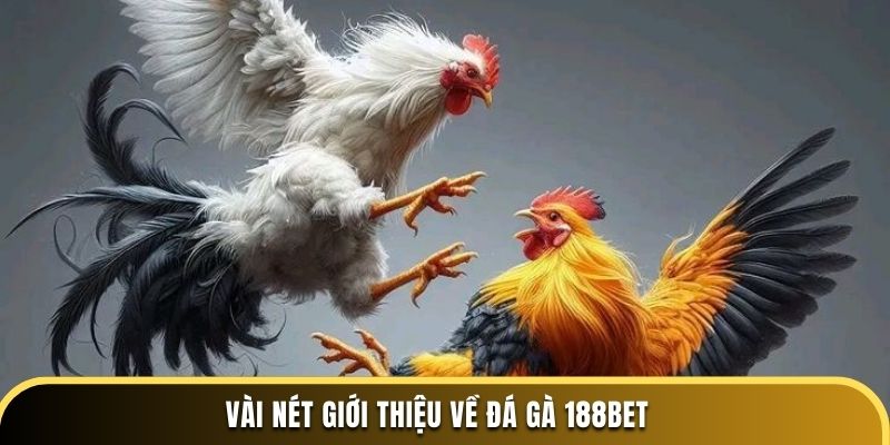 Vài nét giới thiệu về đá gà 188BET